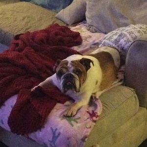 Meet your Posher, Cleatus